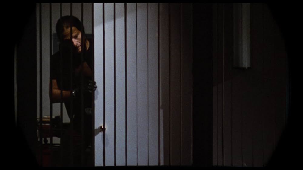 ボディ・ダブルの画像