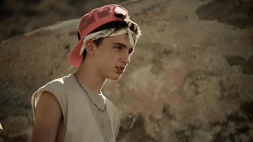 サインスピナーの画像