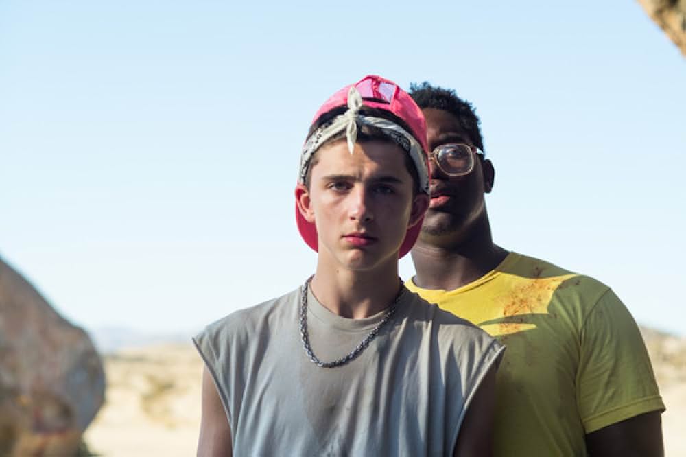 サインスピナーの画像