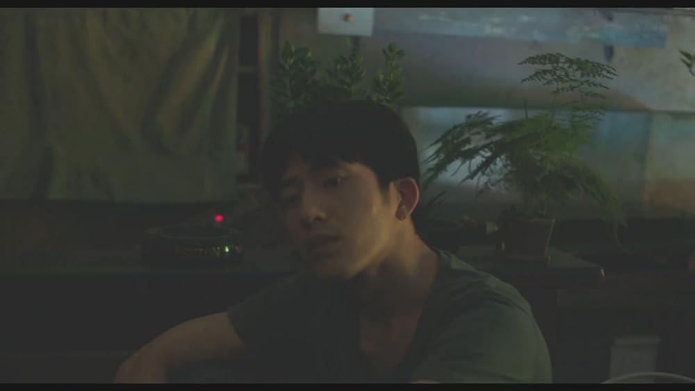 シャドウプレイの画像