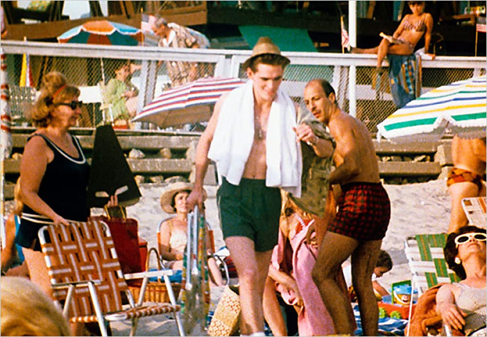 「フラミンゴキッド」マット・ディロンの画像