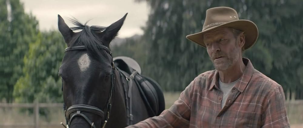 ブラック・ビューティーの画像