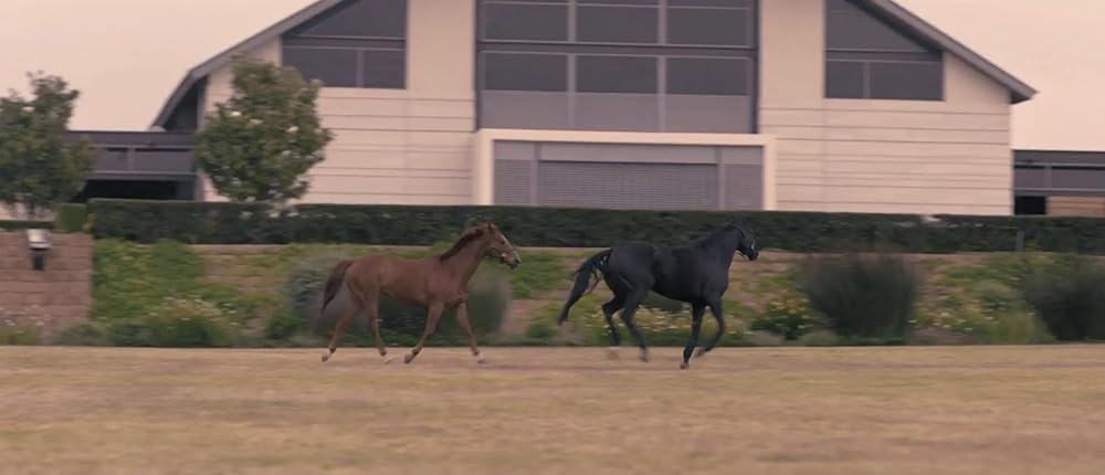 ブラック・ビューティーの画像