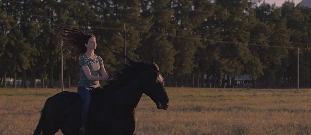 ブラック・ビューティーの画像