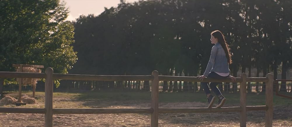 ブラック・ビューティーの画像