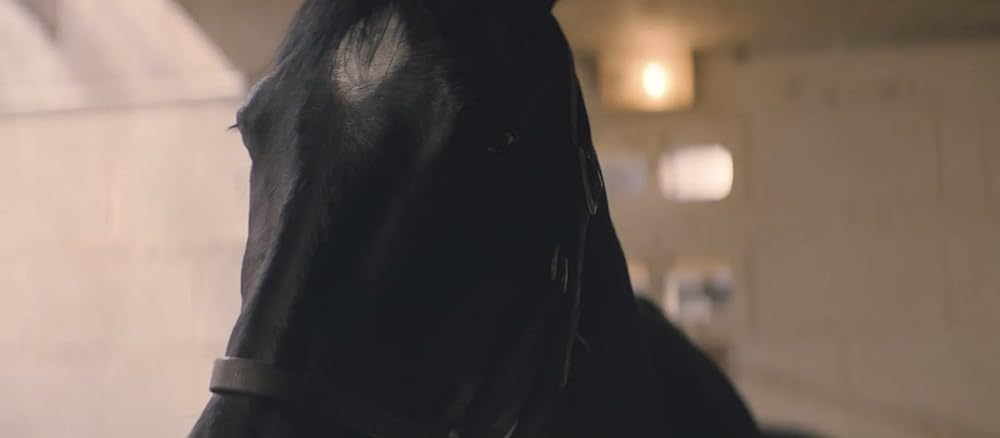 ブラック・ビューティーの画像