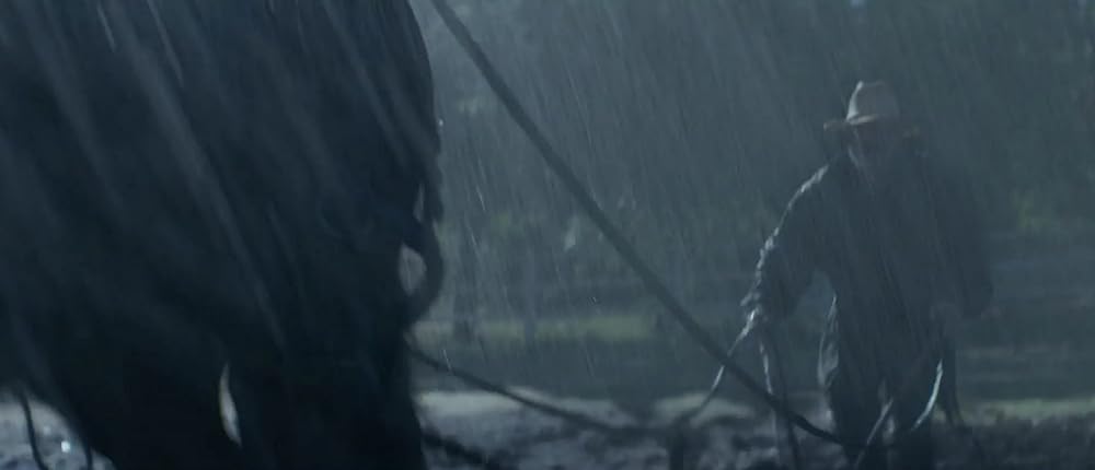 ブラック・ビューティーの画像