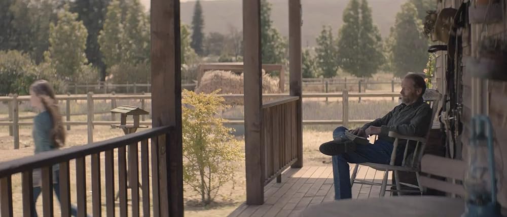 ブラック・ビューティーの画像