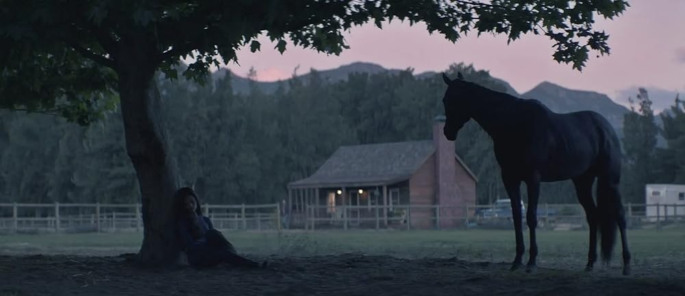 ブラック・ビューティーの画像