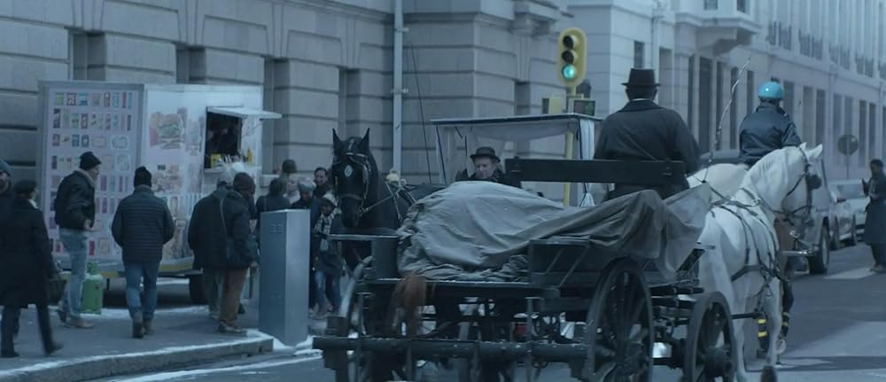 ブラック・ビューティーの画像