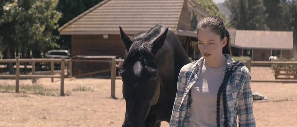 ブラック・ビューティーの画像