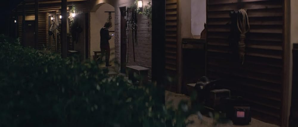 ブラック・ビューティーの画像