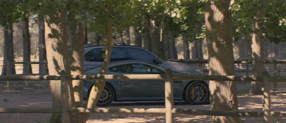 ブラック・ビューティーの画像