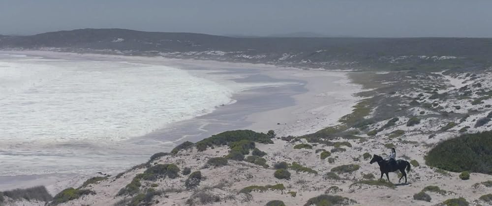 ブラック・ビューティーの画像