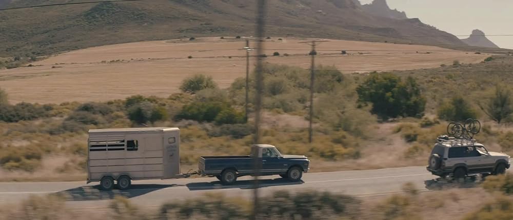 ブラック・ビューティーの画像