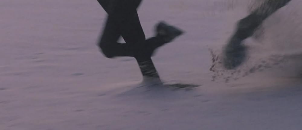 ブラック・ビューティーの画像