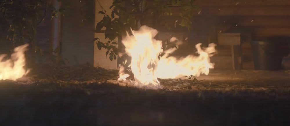 ブラック・ビューティーの画像