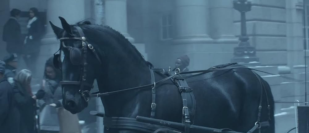 ブラック・ビューティーの画像