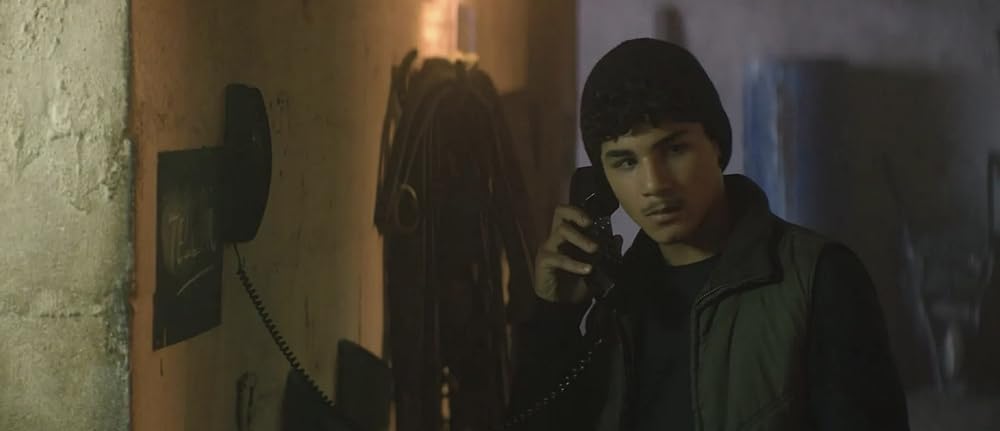 ブラック・ビューティーの画像