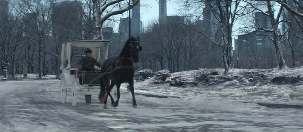 ブラック・ビューティーの画像