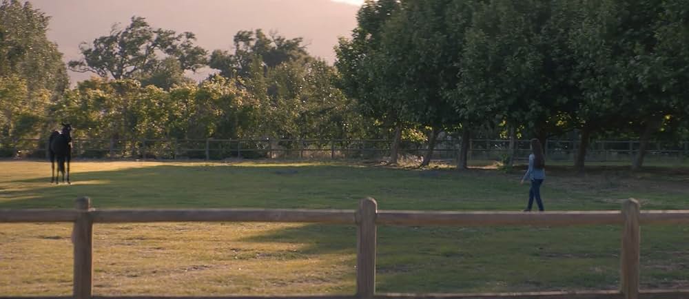 ブラック・ビューティーの画像