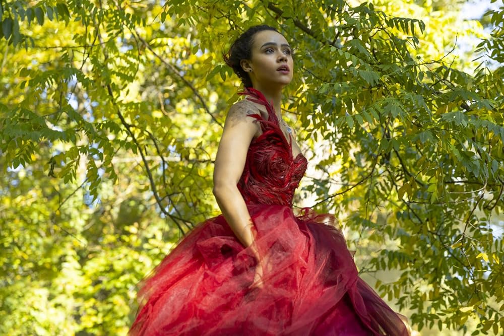 デ・ヴィル家への招待状の画像