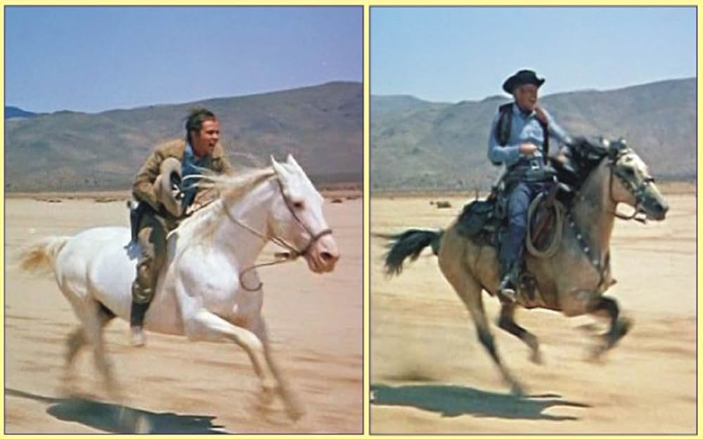 荒野の追跡の画像