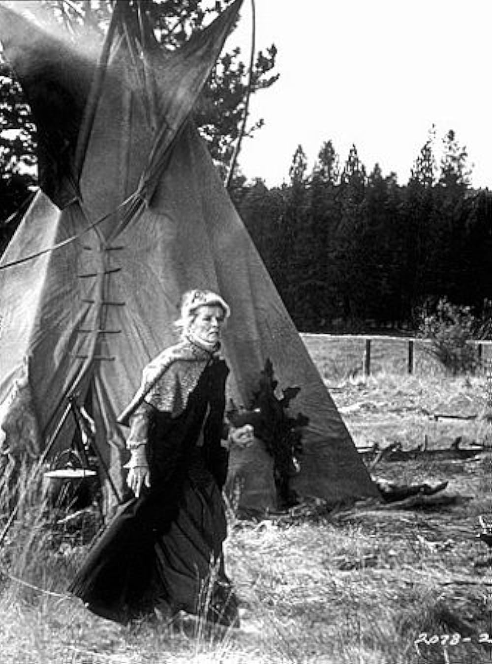 オレゴン魂の画像