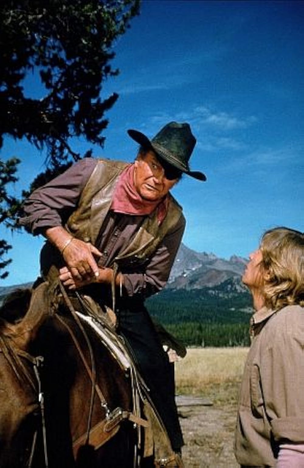 オレゴン魂の画像