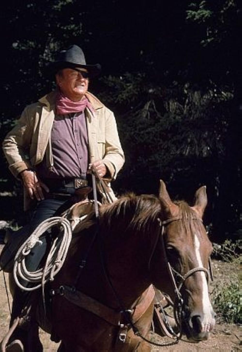 オレゴン魂の画像