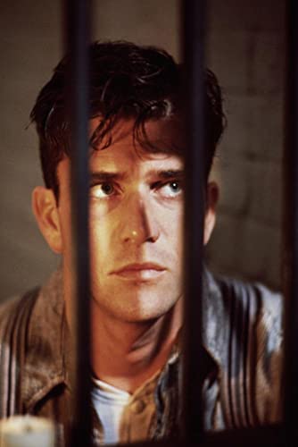 燃えつきるまでの画像