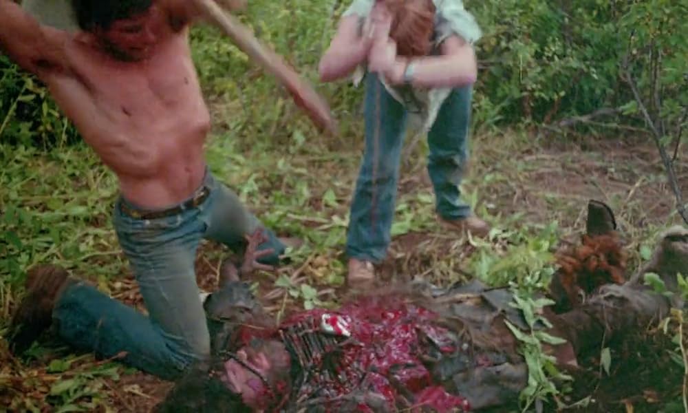 陰獣の森／ふりむくな！忍びよる殺人鬼の影の画像