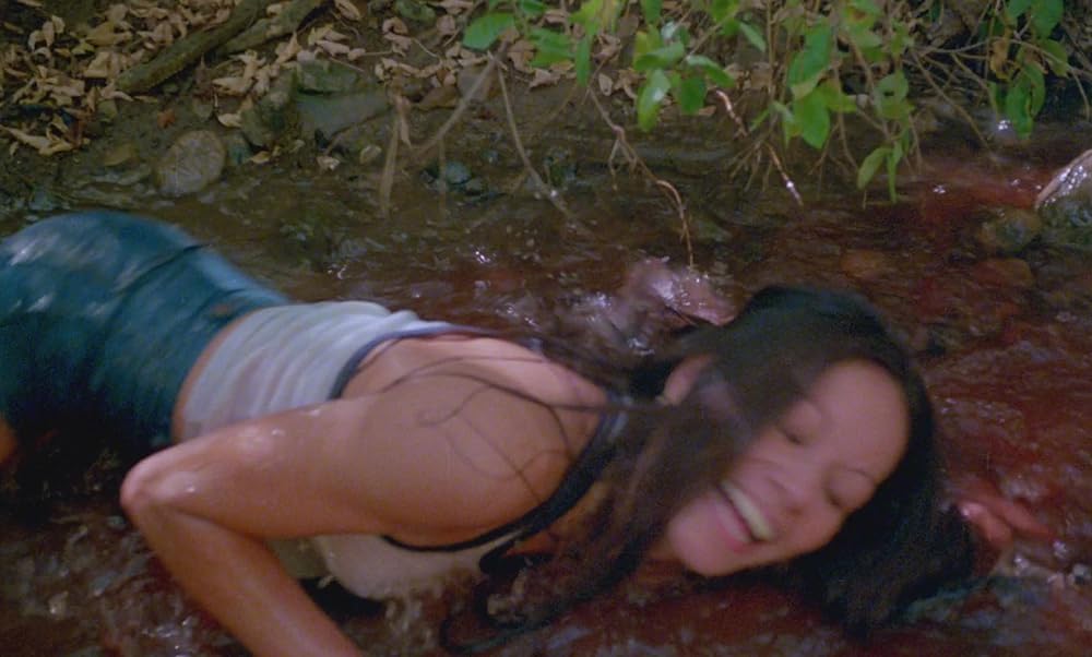 陰獣の森／ふりむくな！忍びよる殺人鬼の影の画像