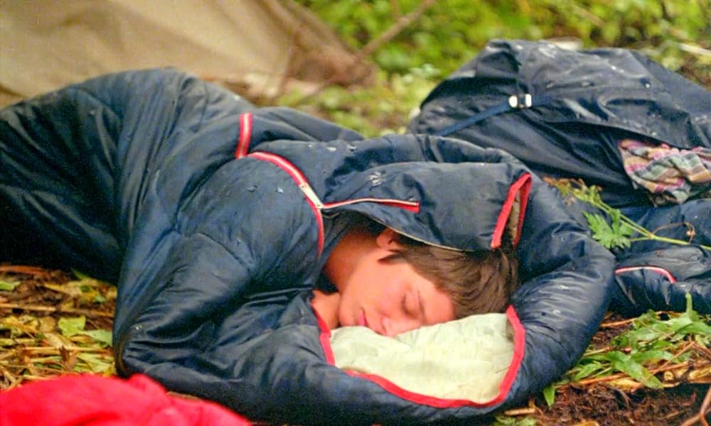 陰獣の森／ふりむくな！忍びよる殺人鬼の影の画像