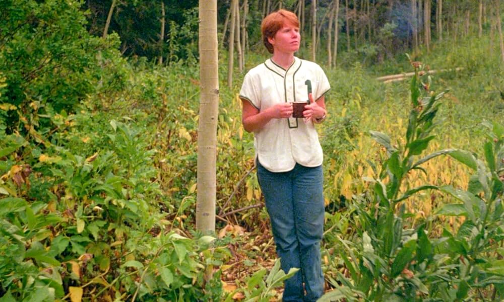 陰獣の森／ふりむくな！忍びよる殺人鬼の影の画像