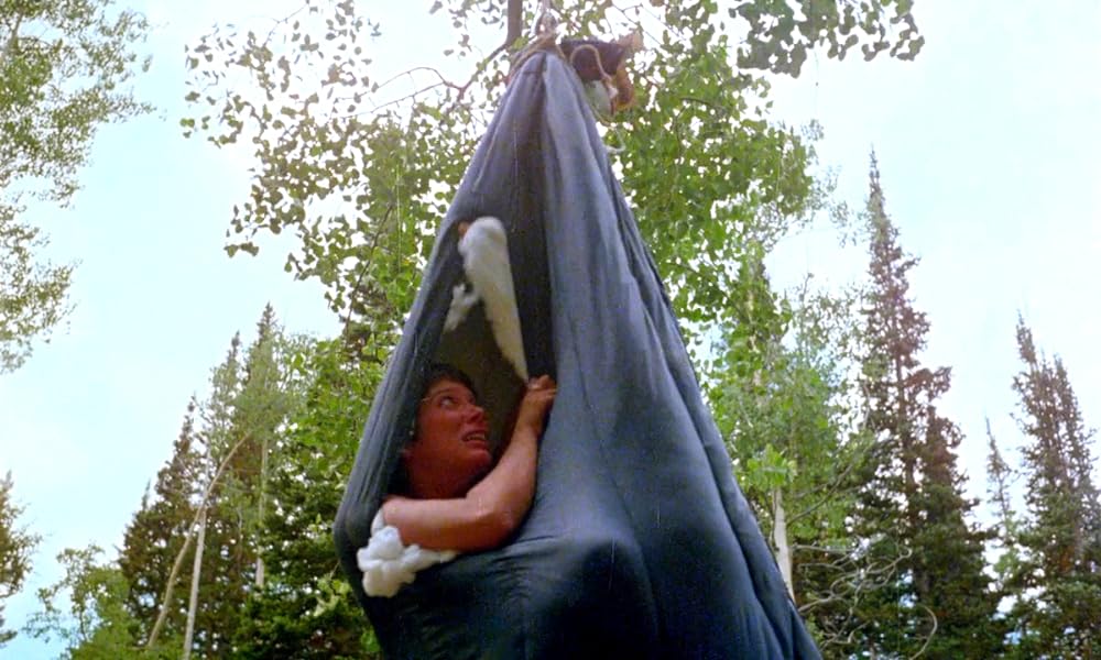 陰獣の森／ふりむくな！忍びよる殺人鬼の影の画像