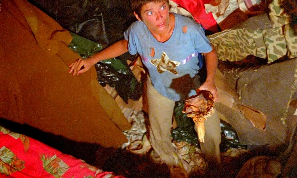 陰獣の森／ふりむくな！忍びよる殺人鬼の影の画像