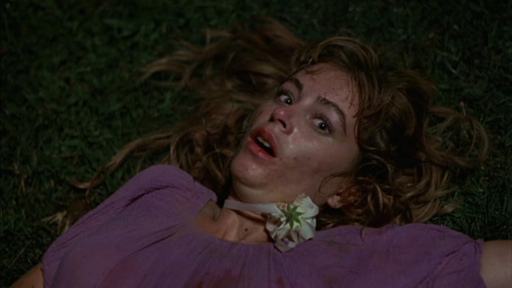 スプラッター・ナイト／血塗られた女子寮の画像