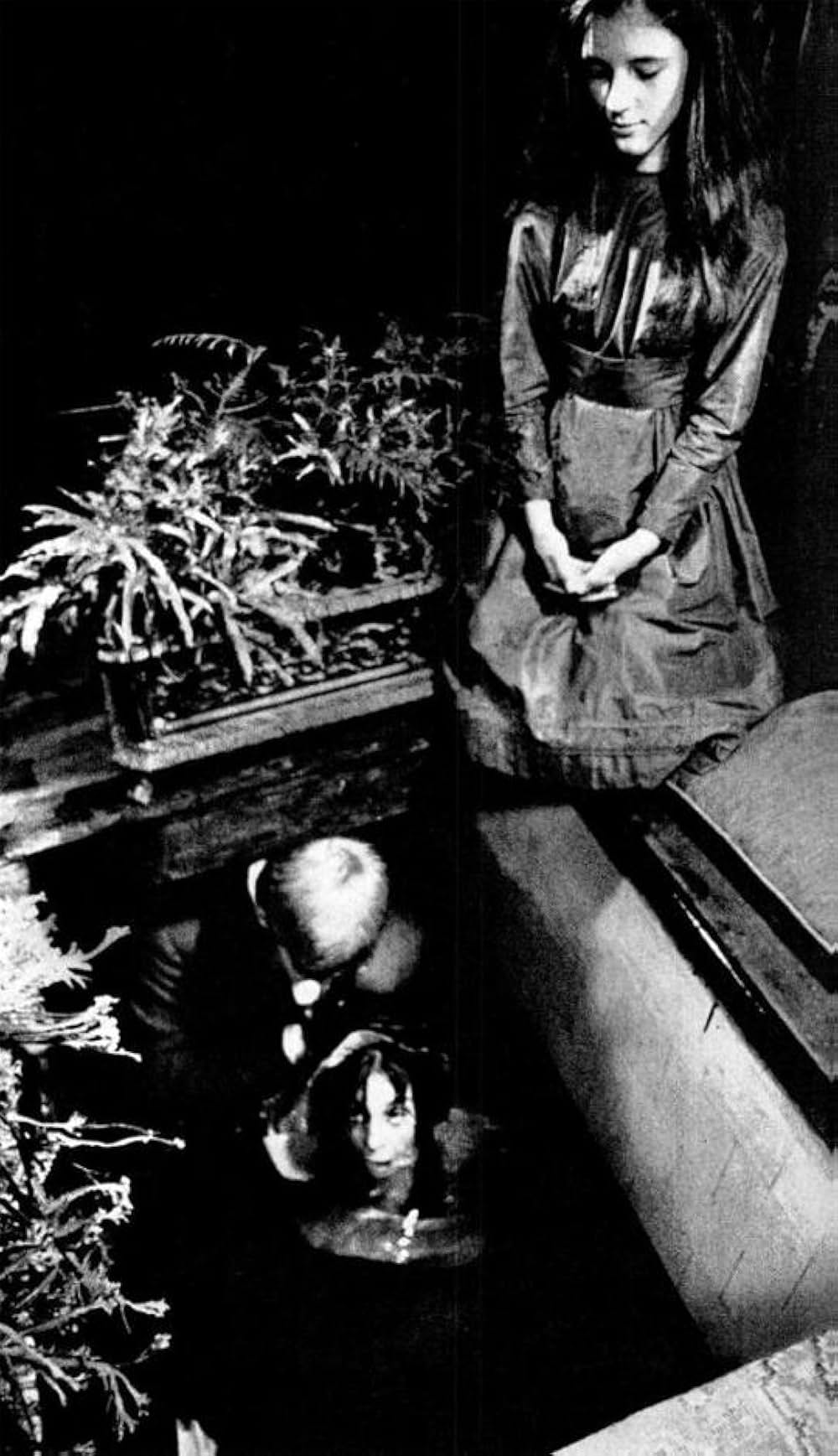 エッチの国のアリスの画像