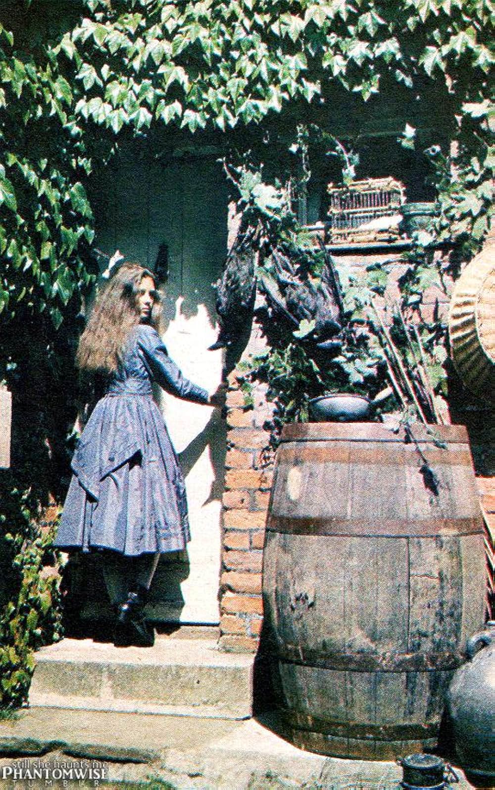 エッチの国のアリスの画像