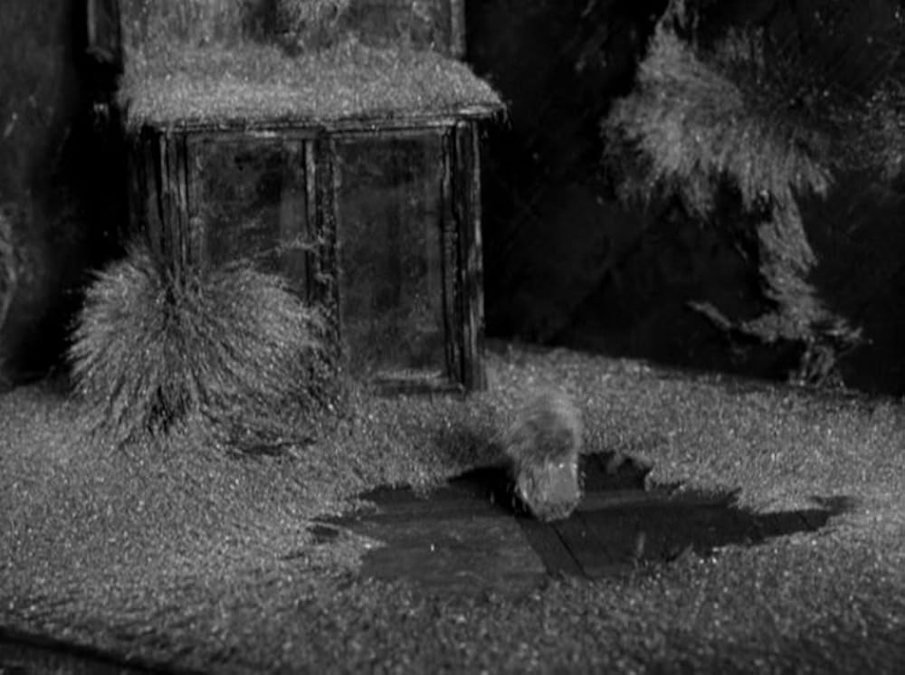 スティル・ナハト 寸劇の画像