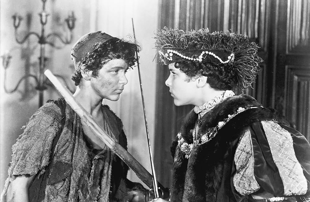 放浪の王子の画像