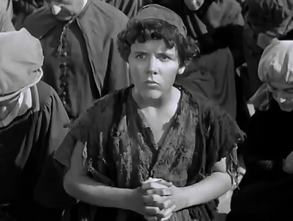 放浪の王子の画像