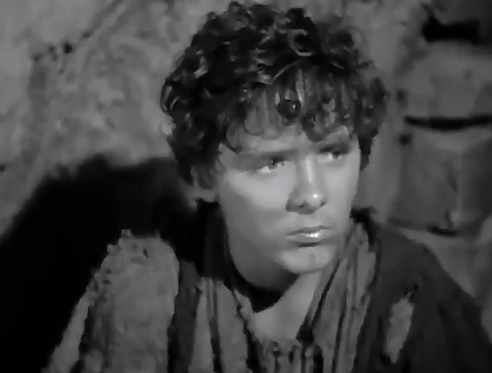 放浪の王子の画像