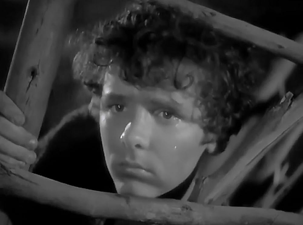 放浪の王子の画像