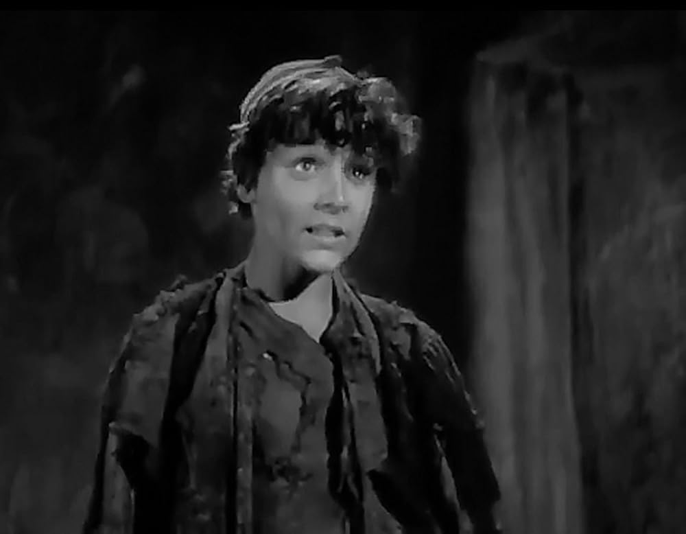 放浪の王子の画像