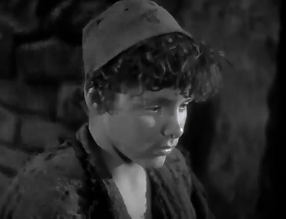 放浪の王子の画像