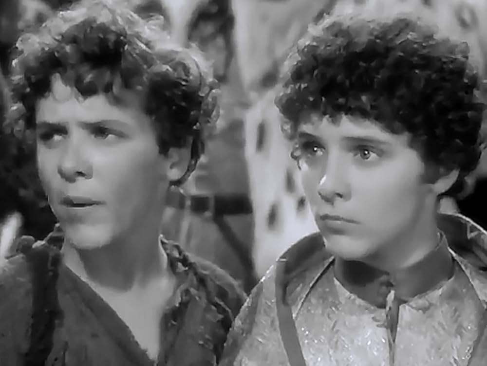 放浪の王子の画像