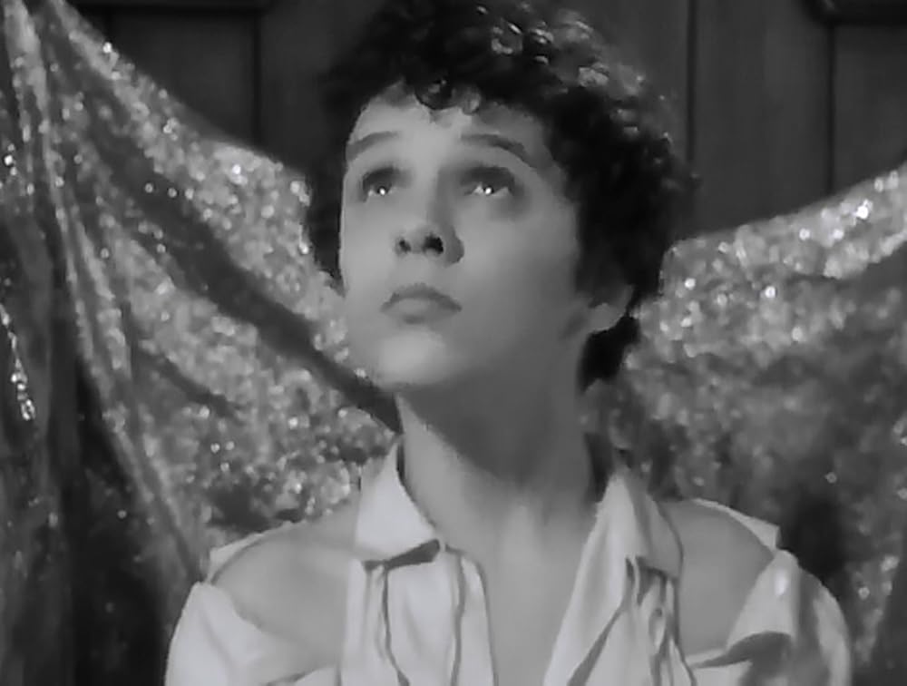 放浪の王子の画像