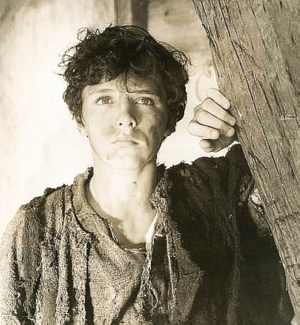 放浪の王子の画像